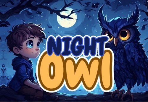 Video Story - Night Owl